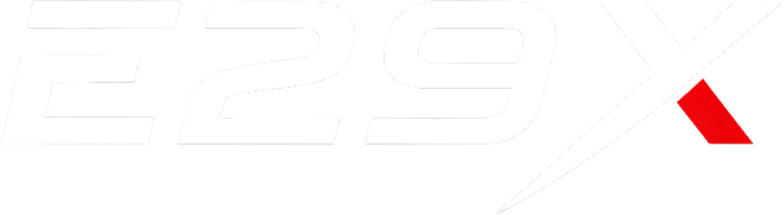 E29X Technologies